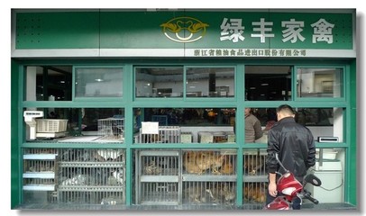 浙江农贸市场的家禽销售纪实——镜头下的烟火人间