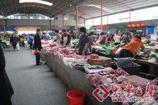 大丰家禽交易市场 销售疲软与技术升级的双重挑战