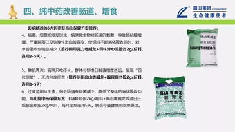 夏季家禽重点产品推介与销售技术服务