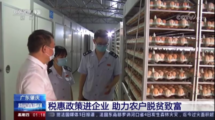 肇庆税务“智库”赋能脱贫攻坚 家禽销售技术服务结硕果